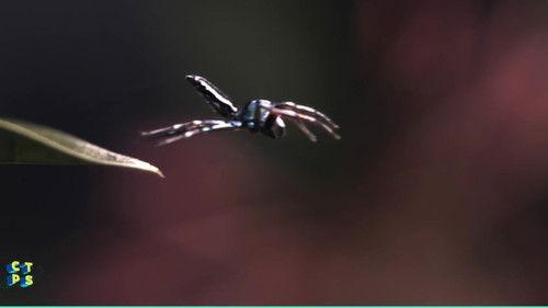 Background image for Episode 12