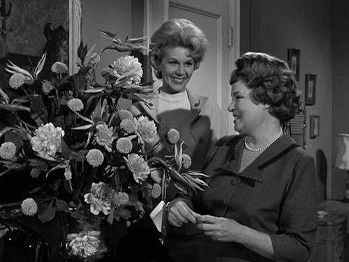 Hazel Season 1 Episode 18 - Hazel's Secret Wish