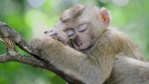 Brainchild Season 1 Episode 4 - Dreams