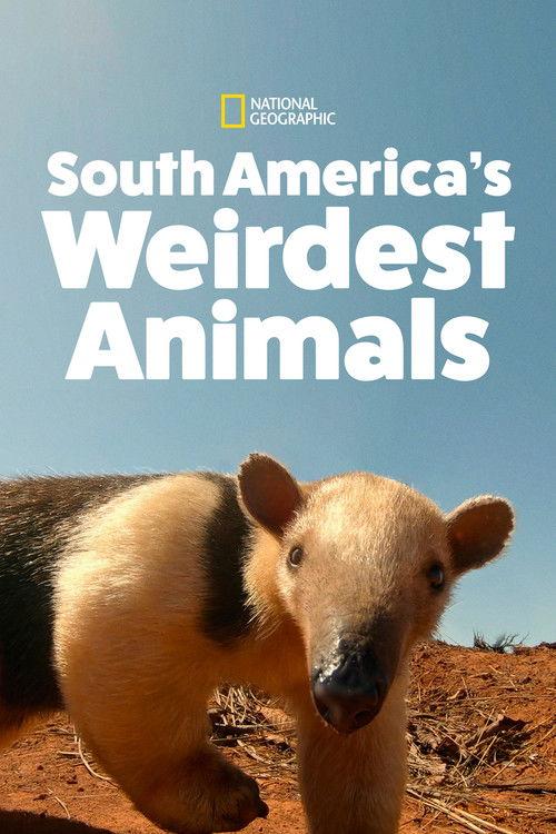 South America's Weirdest Animals poster