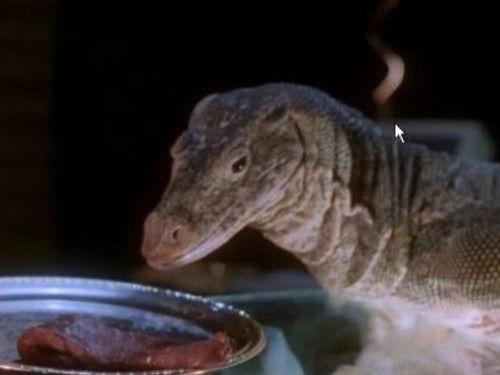 Get Smart Season 1 Episode 5 - Passenger 99