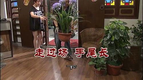 Kang's Family Season 8 Episode 3019 - Episode 3019