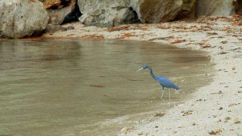 Background image for Episode 7