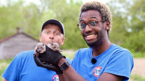 Louis and the Urban Jungle Season 4 Episode 7 - Episode 7