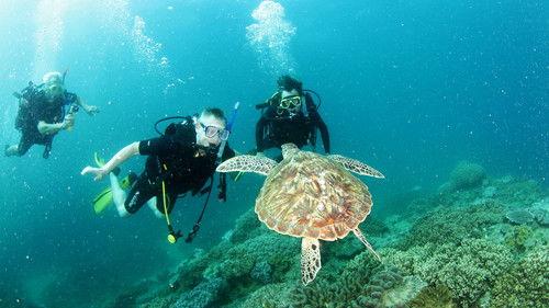 Martin Clunes: Islands of Australia Season 1 Episode 2 - The West Tiwi Islands