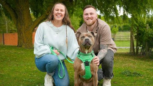 The Dog House Season 9 Episode 5 - Episode 5