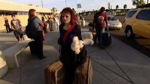 The Real World Season 14 Episode 22 - Too Punk Rock For This