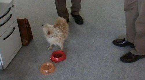 undefined Season 3 Episode 6 - Lulu