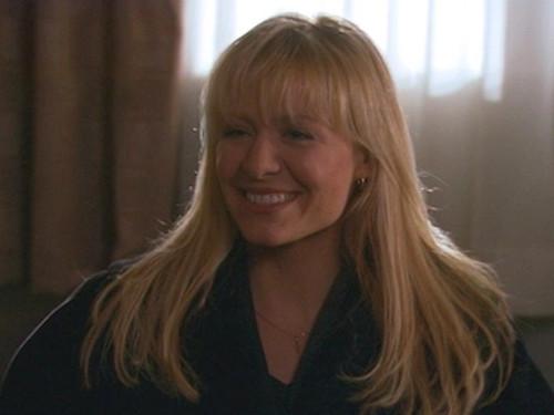 Sue Thomas: F.B.Eye Season 2 Episode 10 - Into Thin Air