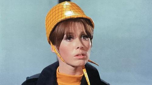 Background image for The Prisoner of Zalamar Affair