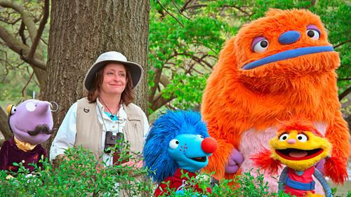 Helpsters Season 1 Episode 5 - Musical Mabels / Barbara Birdwatcher