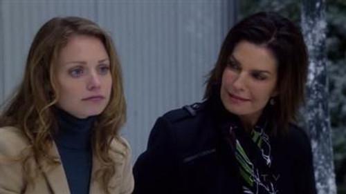 CSI: NY Season 7 Episode 10 - Shop Till You Drop