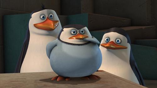 The Penguins of Madagascar Season 2 Episode 47 - Rock-a-Bye Birdie