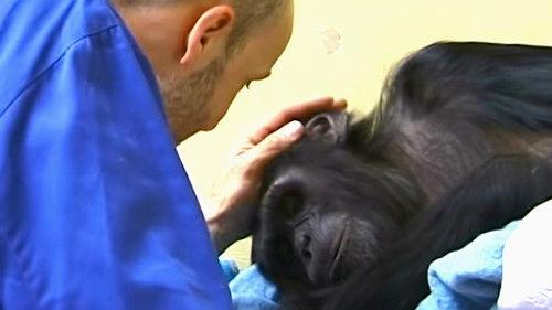 Monkey Business Season 9 Episode 9 - Episode 9