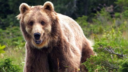 Natural World Season 34 Episode 3 - France: The Wild Side