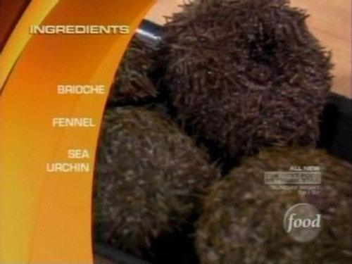 Chopped Season 2 Episode 1 - A Prickly Situation