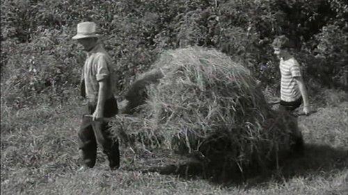 Thorn Castle Season 1 Episode 2 - Episode 2