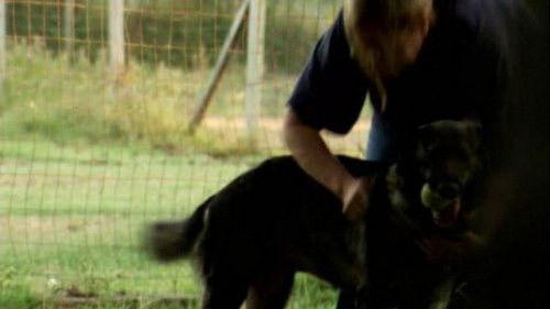 The Haunted Season 1 Episode 16 - Land of Misery