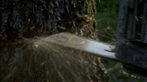 Vier Frauen und ein Todesfall Season 3 Episode 1 - Baumsterben