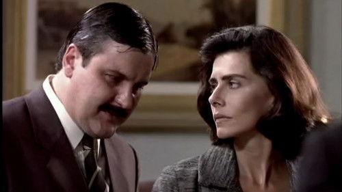 A Vida Como Ela É... Season 1 Episode 17 - Episode 17