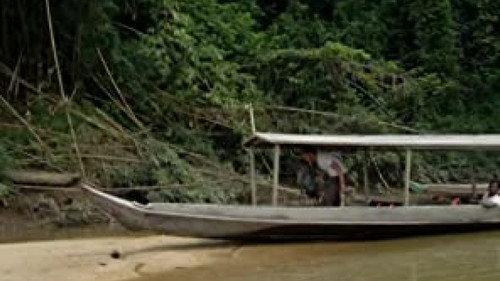 Wild Things with Dominic Monaghan Season 1 Episode 7 - Giant Malaysian Honey Bees