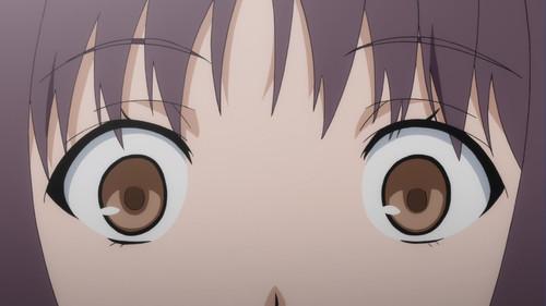 Background image for Sky Bus 365