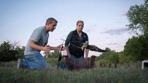 Making Good Season 2 Episode 5 - Wild West Wildlife