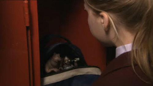 Shoebox Zoo Season 1 Episode 2 - Friend or Foe?