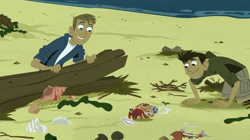 Wild Kratts Season 3 Episode 1 - Hermit Crab Shell Exchange
