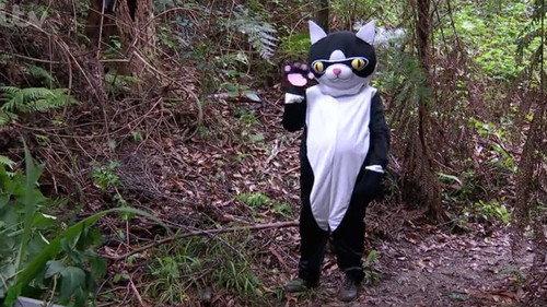 I'm a Celebrity...Get Me Out of Here! Season 17 Episode 11 - Fear Factory