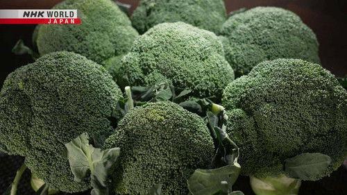 Trails to Oishii Tokyo Season 7 Episode 5 - Broccoli