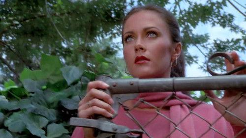 undefined Season 3 Episode 6 - Formicida