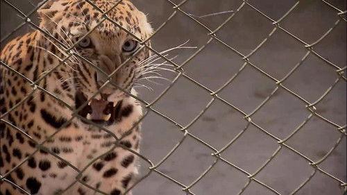 72 Dangerous Animals: Asia Season 1 Episode 1 - Wrong Place, Wrong Time