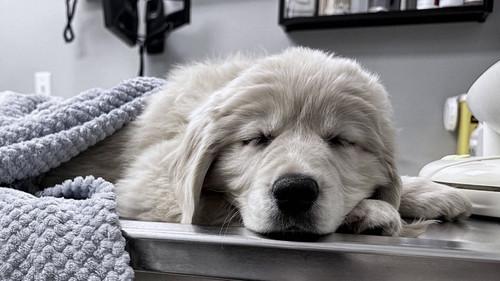 La facture Season 31 Episode 6 - Episode 6