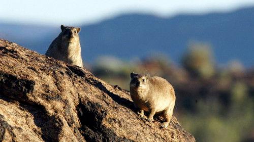 Kouzlo Afriky Season 1 Episode 20 - Episode 20