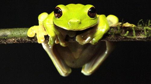 Lost Land of the Volcano Season 1 Episode 1 - Episode 1