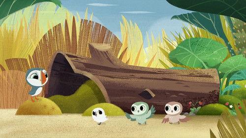 Puffin Rock Season 2 Episode 25 - Owl School