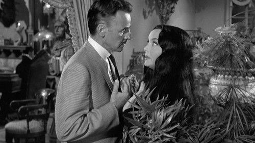 The Addams Family Season 1 Episode 34 - The Winning of Morticia Addams