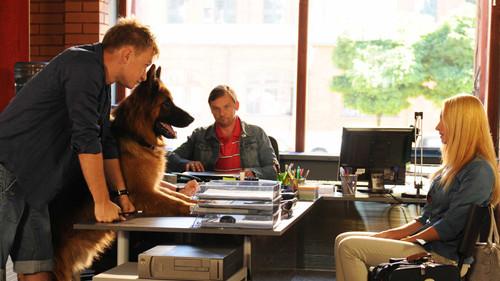 Komisarz Alex Season 2 Episode 3 - Episode 3