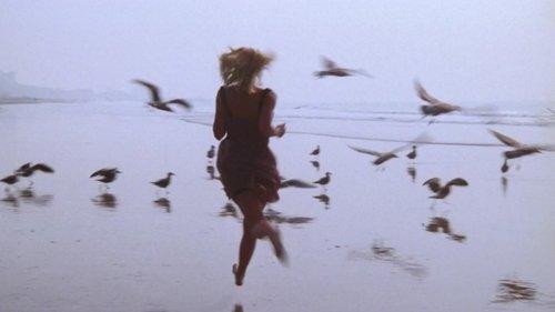 Baywatch Season 4 Episode 22 - Guys & Dolls