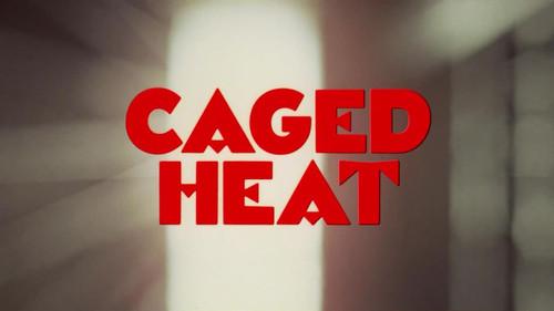 Joe Bob's Drive-In Theater Season 1990 Episode 45 - Caged Heat (1974)