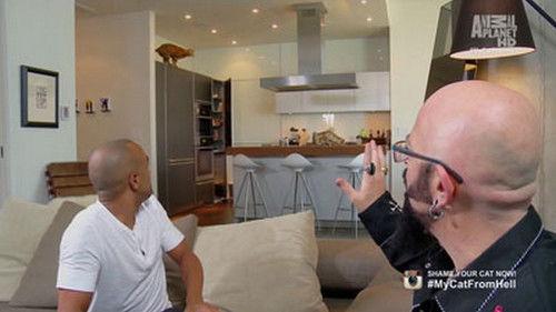 My Cat from Hell Season 5 Episode 1 - Sky Diver's Nightmare