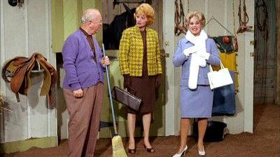 The Lucy Show Season 4 Episode 6 - Lucy and the Countess Have a Horse Guest