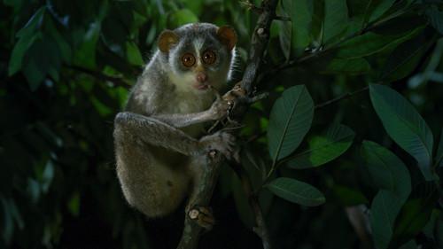 Dead By Dawn Season 1 Episode 6 - Sleepy Hollow