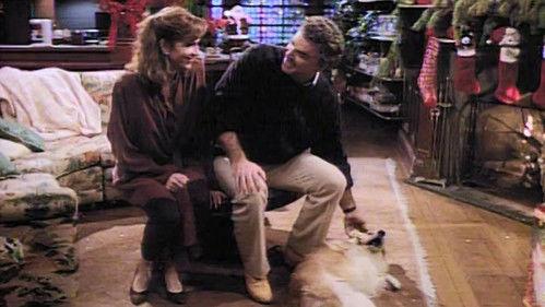 Evening Shade Season 1 Episode 11 - The Wood Who Stole Christmas