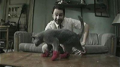 undefined Season 5 Episode 8 - Paddy's Pub: Home of the Original Kitten Mittens