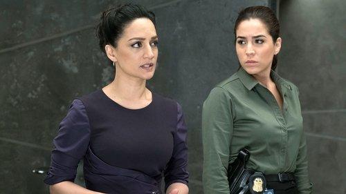 Blindspot Season 2 Episode 9 - Why Let Cooler Pasture Deform