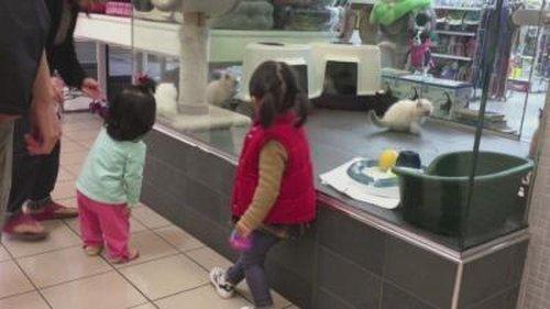 Customer Wars Season 4 Episode 14 - War of the Words