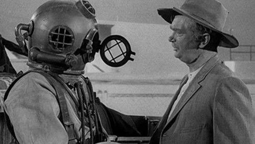 The Beverly Hillbillies Season 3 Episode 7 - Back to Marineland