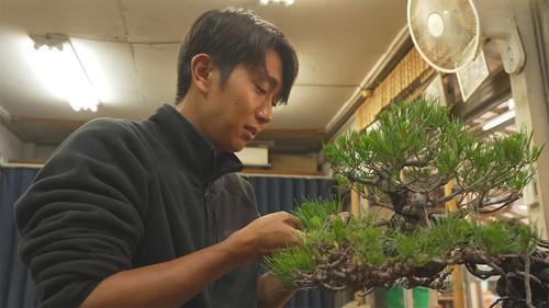 Document 72 Hours Season 16 Episode 18 - Bonsai Village: Growing a Small Universe in a Pot